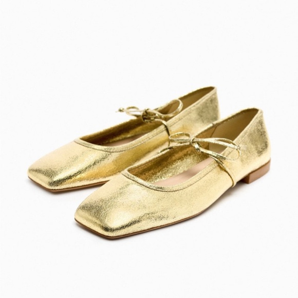 Zara Ballet Flat with Bow